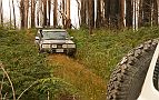 08-Drifter approaches Mt Strickland summit
